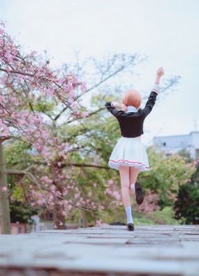 2018久久视频在线视频观看_720在线手机播放